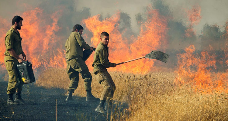 IDF unveils new system to defeat arson balloons from Gaza
