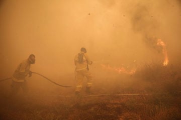 Firefighters battling a forest fire