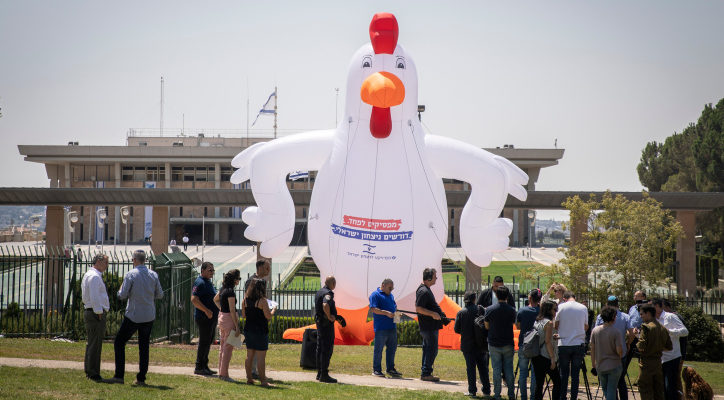 Government too chicken to fight Hamas, protesters say