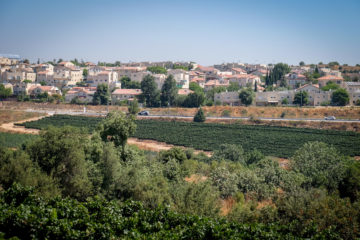 View of vineyards outside the Jewish community of Alon Shvut, in Gush Etzion, July 29, 2019.