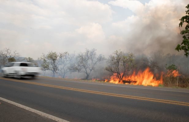 Israel sends firefighters to help Brazil battle Amazon fires