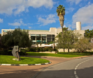 Weizmann Institute