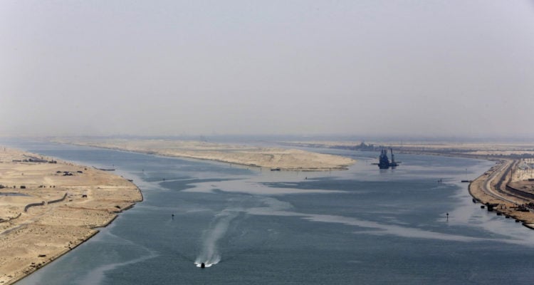 Suez Canal species causing potentially devastating consequences to Mediterranean, say scientists