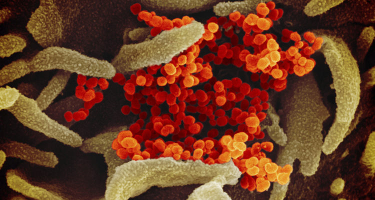 France announces 1st coronavirus death in Europe