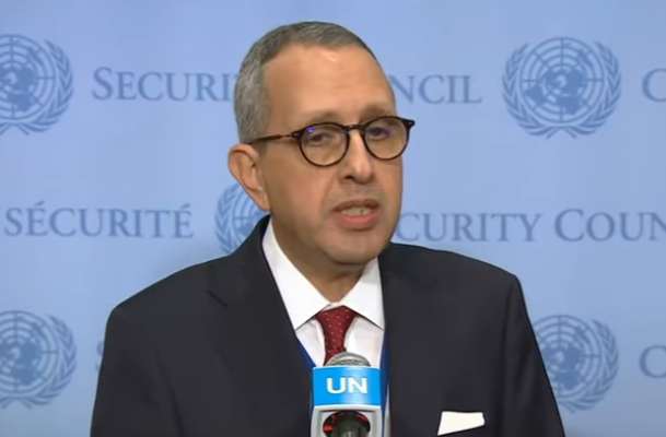 Tunisia fires UN envoy who helped draft condemnation of Trump peace plan