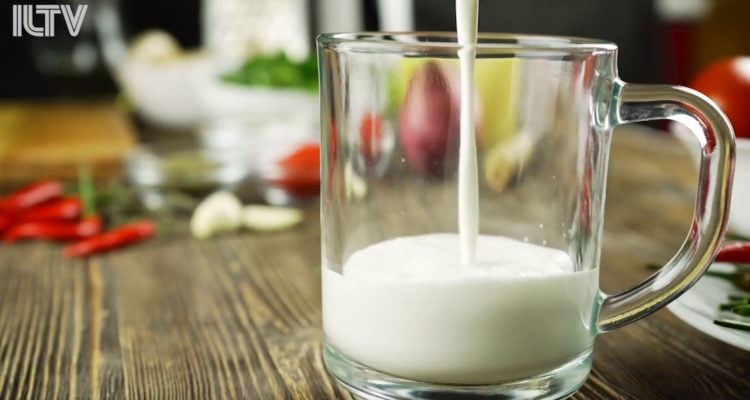 Israeli study unlocks potential for tailored dairy products to enhance gut health