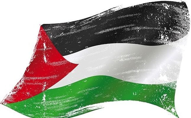 Chinese retail site stops sale of Palestinian flag – and then retaliates