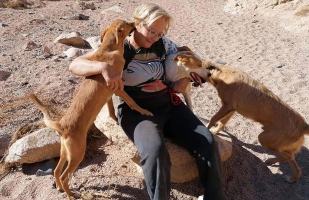 British woman in Egypt eaten by stray dogs she looked after