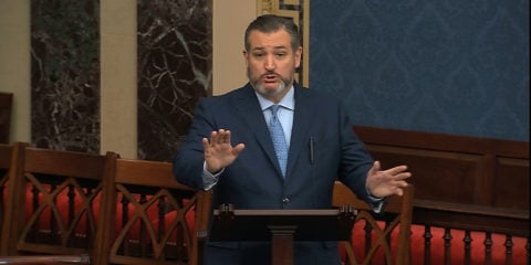 SenatorTed Cruz