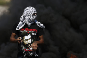 Palestinian protester