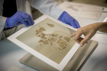 Dead sea scroll fragments