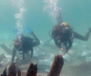 Israeli Divers