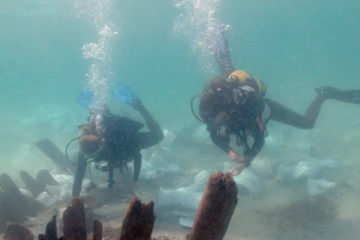 Israeli Divers