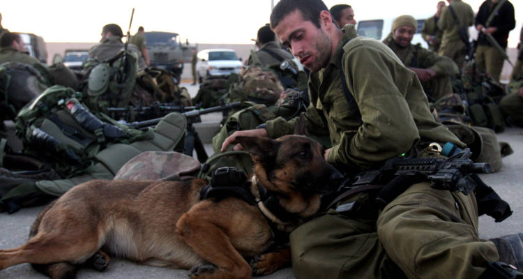 Trusted canine partner saves six soldiers in IDF unit