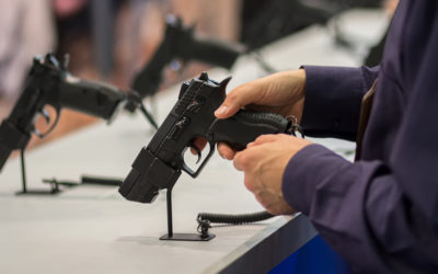 Gun