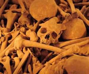 bones in a mass grave