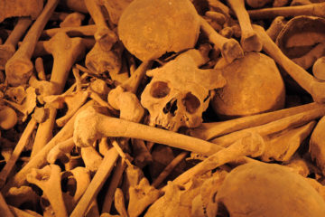 bones in a mass grave