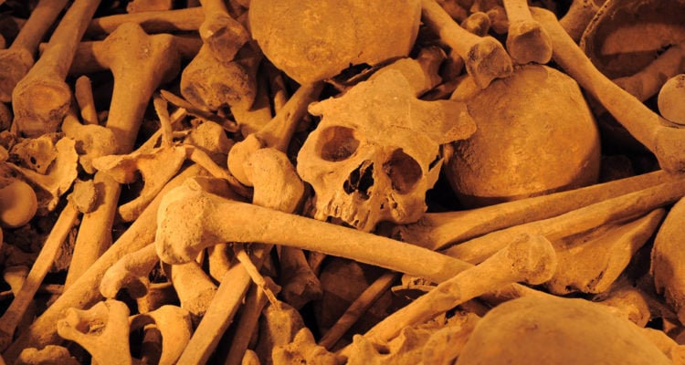 Mass grave in Syria discovered with 100,000 bodies