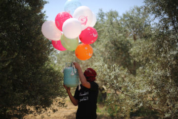 Palestinian youth