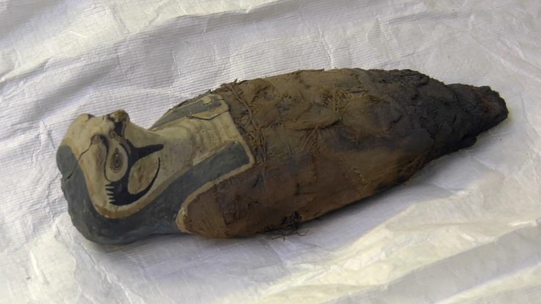 Египетская мумия оказалась лишь затвердевшей массой из грязи и зерна.