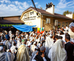 Uman
