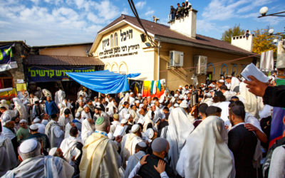 Uman