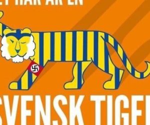 Swedish Tiger