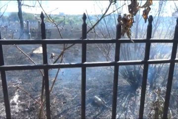 Fire at Jewish cemetery in Uman