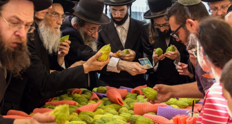 White House helps save Sukkot holiday, ensuring supply of ritual citrus fruit
