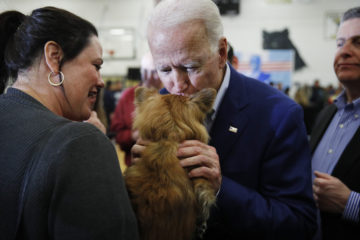Joe Biden dog