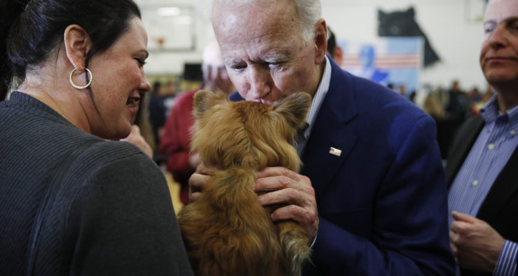 Biden breaks foot while playing with dog, to wear a boot