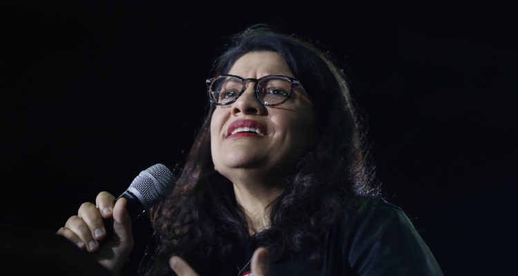 ‘Hateful’ Tlaib must be ousted from posts, says congressman