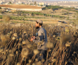 An Israeli settler stands in a field near the outpost "Maalot Halhul" near the West Bank town of Halhul, near Hebron, June 30, 2020. (Flash90/Gershon Elinson)