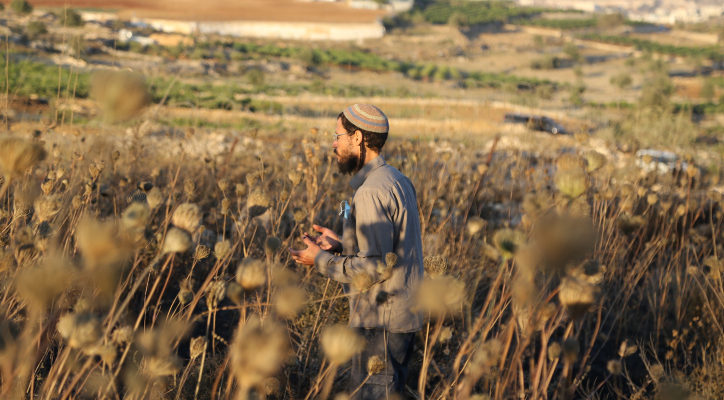 Jewish families establish new outpost in Hebron hills