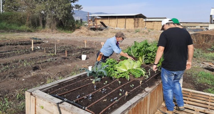 Special-needs adults find meaningful work on kibbutz farm