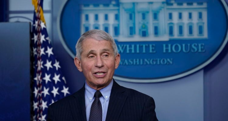 Fox journalist slammed for comparing Fauci to Mengele, ‘Angel of Death’