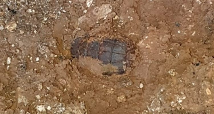 World War I-era grenade found in heart of Jerusalem