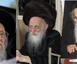 Rabbis Soloveichik, Sheiner, Twerski