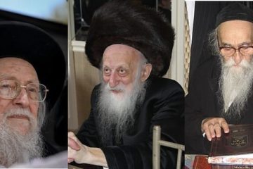 Rabbis Soloveichik, Sheiner, Twerski