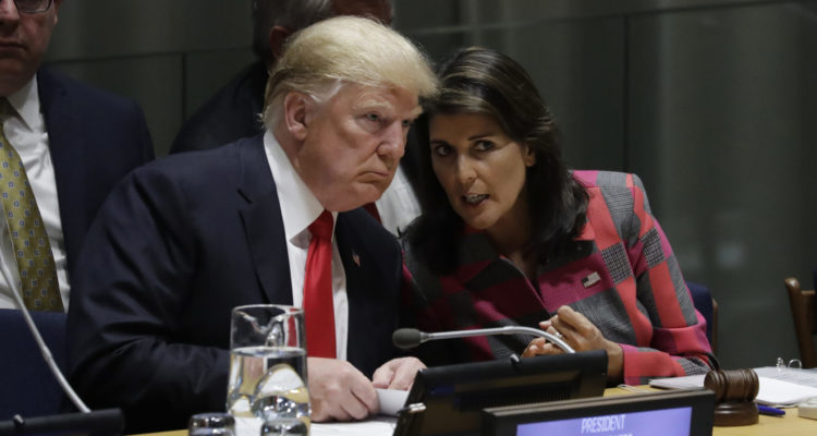 Nikki Haley calls Trump for advice about running for president in 2024