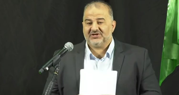 Ra’am empowered Arab society in Israel, will help Palestinian cause, says party chief