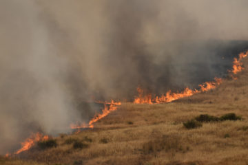 Gaza aerial firebombs