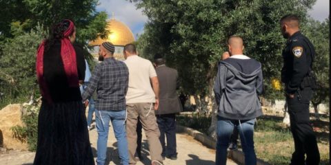 Jews on Temple Mount