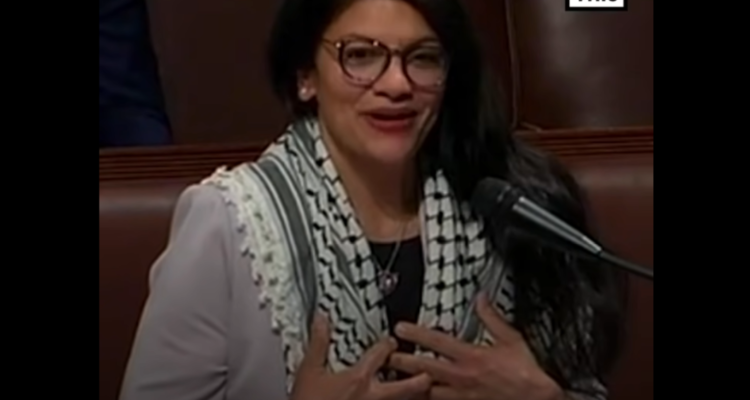 Tlaib is ‘antisemitic, extreme’ says Dem challenger