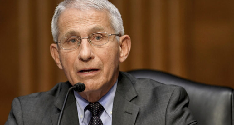 Fauci: Israel did as much for the US during the COVID pandemic as the US did for Israel