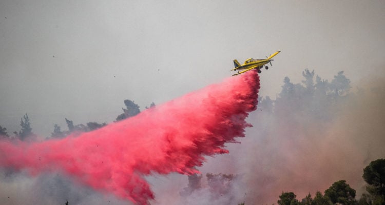 Israeli firefighters gain control of Jerusalem area blaze, investigation into cause ongoing