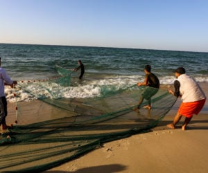 Gaza Fisherman