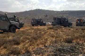 Vineyards vandalized by Palestinians rioters