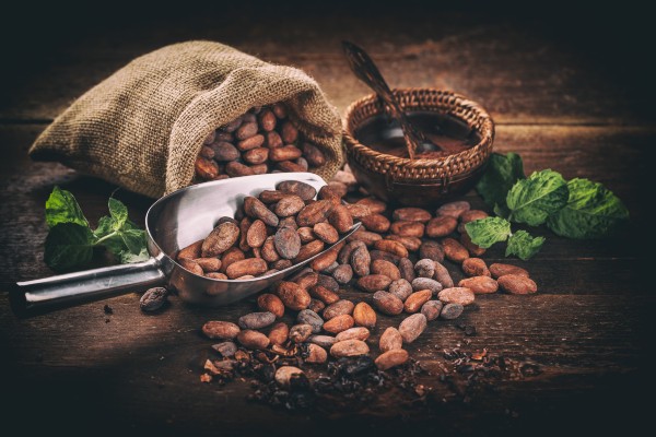 Ghana’s cocoa farmers have a sweet tooth for Israeli agri-tech