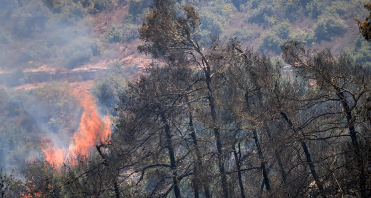 Israel appeals for international help in battling ravaging wildfires near Jerusalem